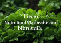 苔菜的营养价值和功效