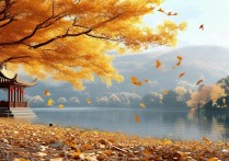 秋芦景点有哪些必打卡的隐藏玩法和小众路线？