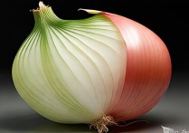 洋葱挑选