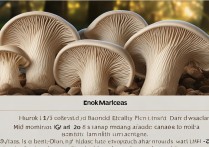 木耳的营养价值及功效