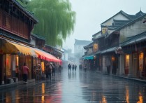 扬州雨天适合去哪些景点玩？