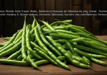 豆角的营养价值