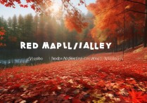 红叶谷景区究竟有何独特魅力，让人流连忘返？