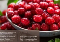 杨梅的营养价值及功效