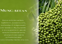 绿豆的作用与功效