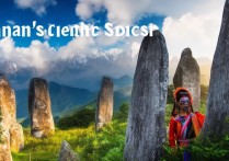 云南哪些景点值得一游？探寻云南独特自然与文化魅力！