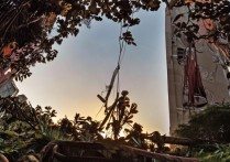 天津附近哪些小众城市景点适合周末亲子游？