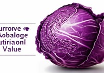 紫甘蓝的营养价值