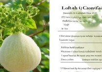 丝瓜的营养价值及功效