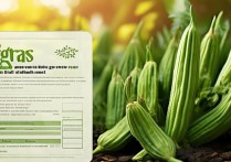 秋葵的营养价值及功效与作用