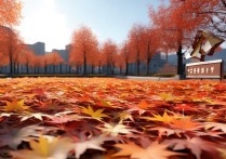 丹东枫叶景点哪个时间段去最美？