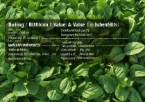 菠菜的营养价值及功效