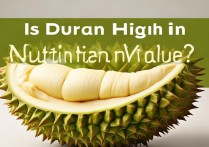 榴莲营养价值高吗