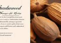 砂仁的功效与作用