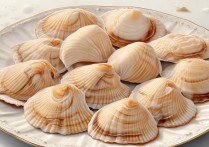 扇贝的营养价值