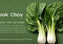 空心菜营养价值及功效