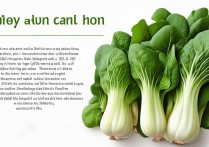 空心菜的营养价值及功效