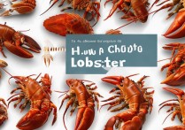 大龙虾怎么挑选