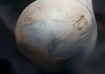 神农架旅游景点有哪些必打卡的小众玩法？