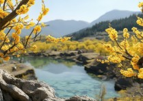 黄梅有哪些景点值得去？必打卡的有哪些？