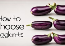 茄子怎么挑选