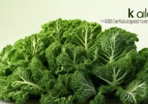 芥菜的营养价值