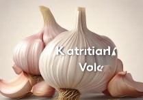 大蒜的营养价值