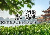 崇明岛有哪些值得一游的独特景点？揭秘上海这座生态岛的旅游魅力！