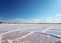 盐田景点有哪些值得去的小众玩法和隐藏打卡地？