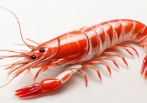 小龙虾营养价值