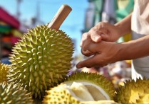 榴莲的挑选