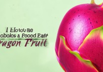 红心火龙果怎么挑选