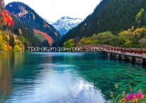 九寨沟著名景点有哪些？揭秘世界自然遗产的绝美风光！