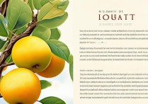 枇杷的功效和作用