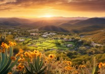 德州太阳谷景点有哪些必打卡的冷门玩法？