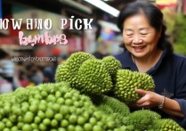 怎么挑选山竹