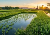 盘锦有什么景点？小众玩法与必打卡地推荐，附游玩攻略。