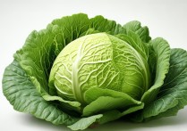 包菜的营养价值