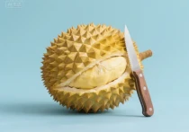 榴莲挑选全攻略：从外观气味到品种差异，教你选到果肉饱满的 “水果之王”