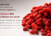 枸杞怎么挑选最好