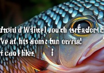 鱼鳞的营养价值和功效