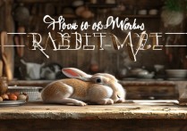 兔子肉怎么做好吃