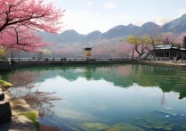 安徽桃花潭景点有哪些必打卡的隐藏玩法？