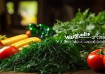 海带和什么菜搭配好吃