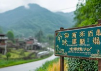 广西区内自驾游景点众多，哪些是隐藏的绝美打卡地？