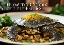 甲鱼怎么做好吃