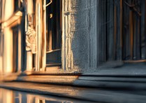 美国纽约有哪些必去景点适合自由行游客打卡？