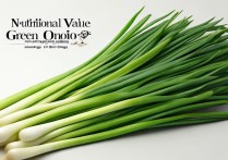 大葱的营养价值