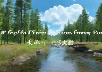 阿尔山国家森林公园有哪些独特景点，游玩攻略全揭秘？