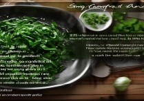 菠菜怎么做好吃